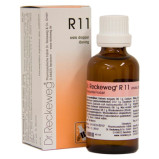 Dr. Reckeweg R 11 - 50 ml.