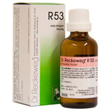 Dr. Reckeweg R 53 - 50 ml.
