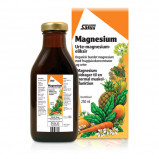 Floradix Magnesium - 250 ml