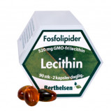 Lecithin - 90 kapsler