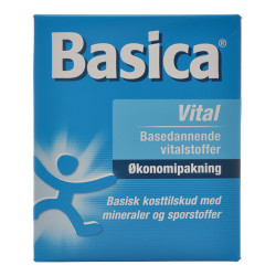 Basica Vital (800 gr)