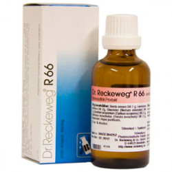 Dr. Reckeweg R 66, 50 ml.
